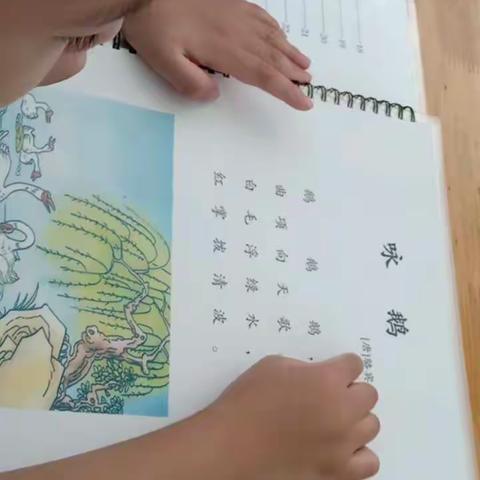 第六实验幼儿园蒙氏樱桃班工作记录