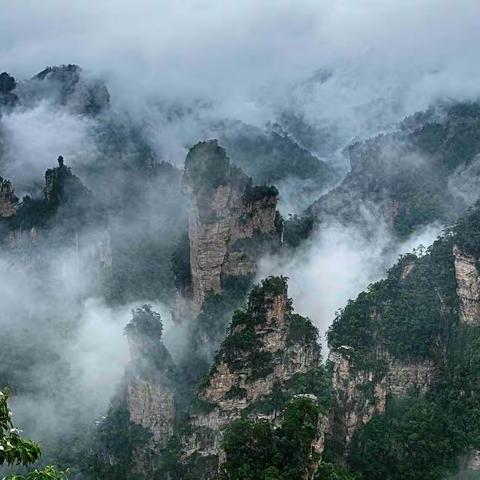 仙境张家界   诗画天子山