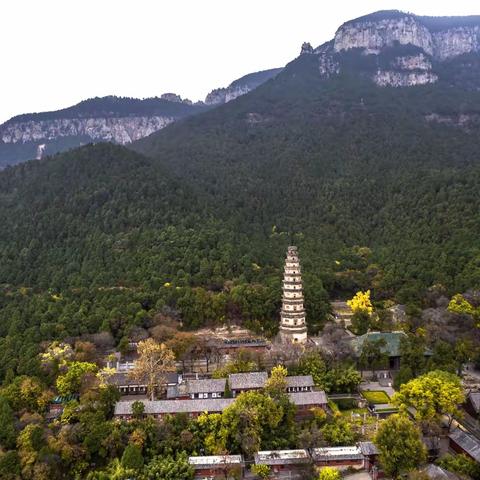 千年古刹灵岩寺    醉美深秋如诗画