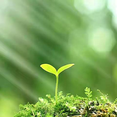 问渠那得清如许？为有源头活水来