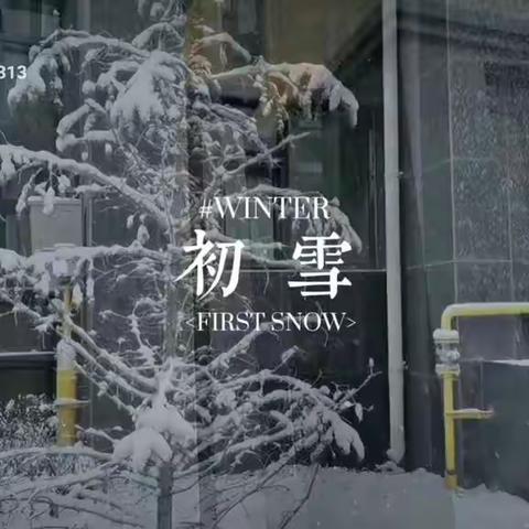 【庆丰御锦湾】瑞雪迎春 |风雪中美丽身影