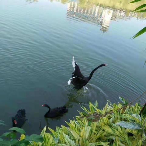 秋日研学   收获满满