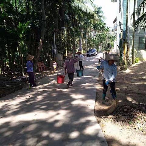 治坡村环境卫生大整治