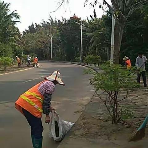 治坡村环境卫生大整治