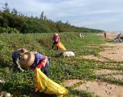 治坡村开展海岸线环境卫生专项整治
