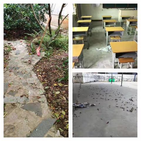 清洁校园，爱卫同行--双华镇第一小学清洁校园爱国卫生活动