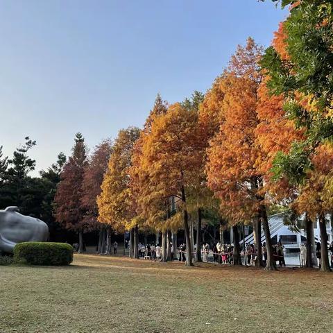 美丽的南湖公园