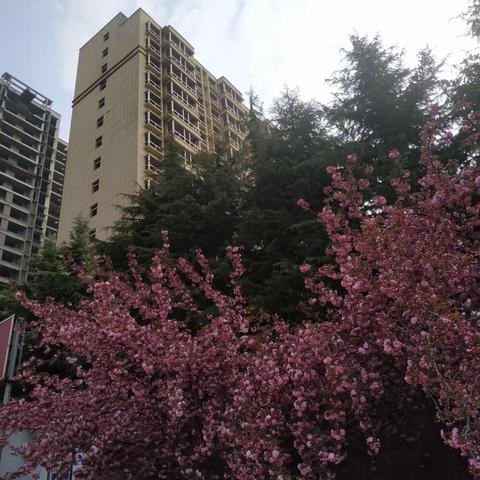 幸福时光  有你陪伴