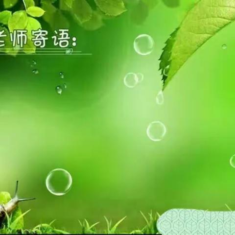 〖讲好六小故事〗播种希望，快乐前行一新学期教师寄语