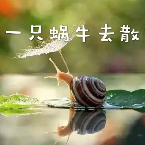 牵一只蜗牛去散步——让我们诗意幸福地栖居在“教育”这片温润多情的土地上！