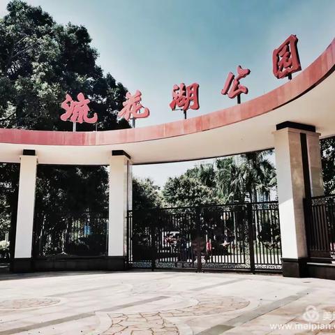 岁月静好～～～（张戈连/手机摄影2017.9.16流花湖）
