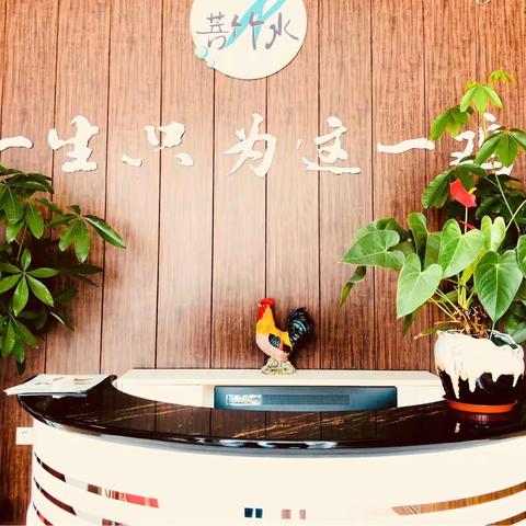 一生只为这一鸡——信宜菩竹水（手机摄影：张戈连）