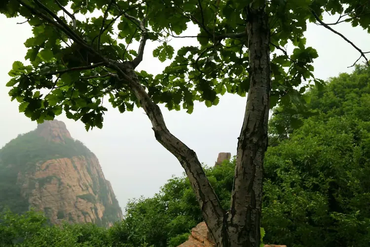 辽西最高峰,凌源红石山!