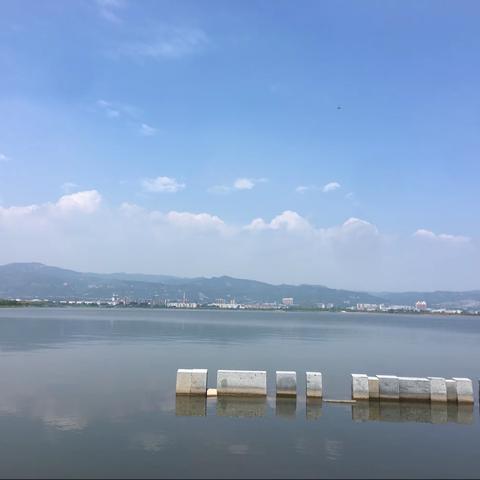快乐的暑假生活