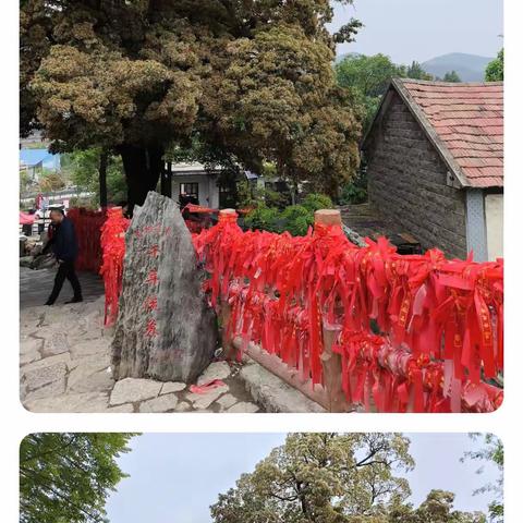 【传统文化】千年流苏20240505