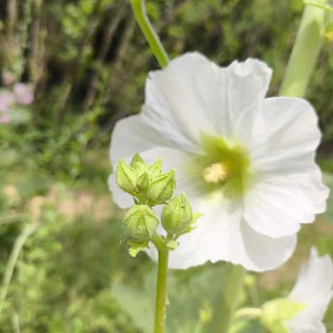 【传统文华】华东革命烈士陵园 ----永恒的精神丰碑