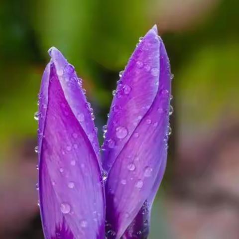 【班会实录】致敬学习标兵，筑梦高考之路20240509