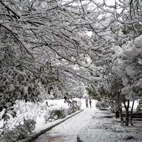 2022年六盘水雪景音乐美篇：雪落凉都，景美如画