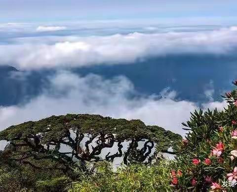 怎样的小城，让你想拥有一间房住下来——记避暑圣地金秀