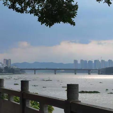 20220401回乡偶记，记故里侨乡容县