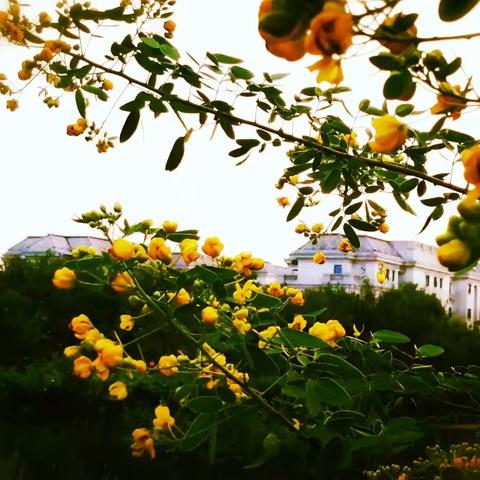 铸魂在三尺讲台