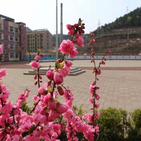 聆听专家讲座，汲取教学智慧—兴隆三小语数英团队线上研修活动