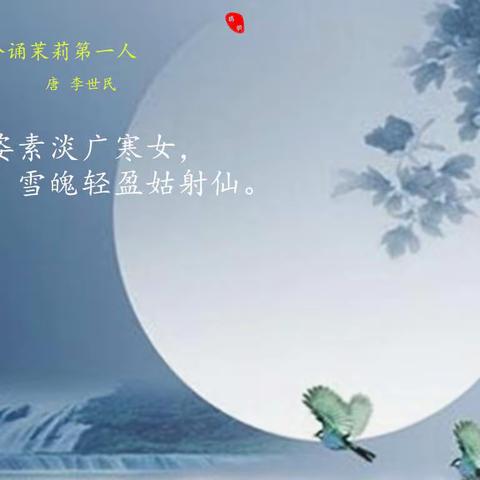 名花之外茉莉香
