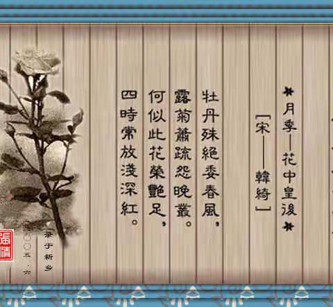 十大名花之月季