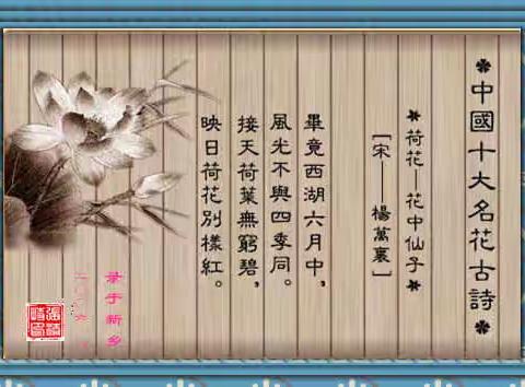 十大名花之荷花
