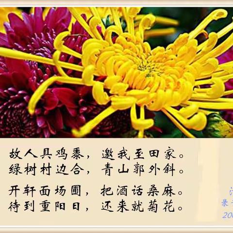 重阳节