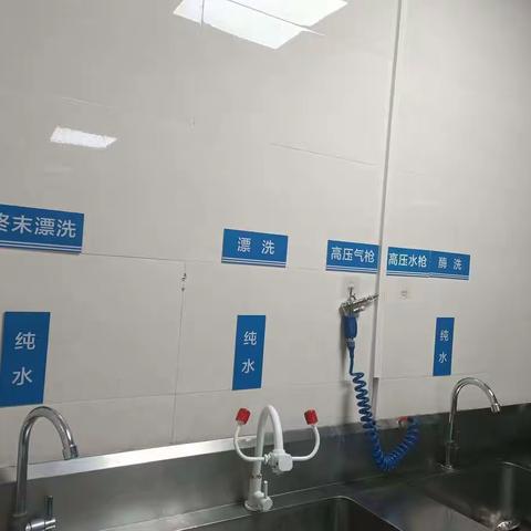 甘为绿叶，同样出彩