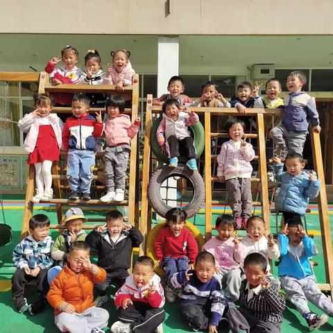 特蕾新幼儿园中D班的美篇