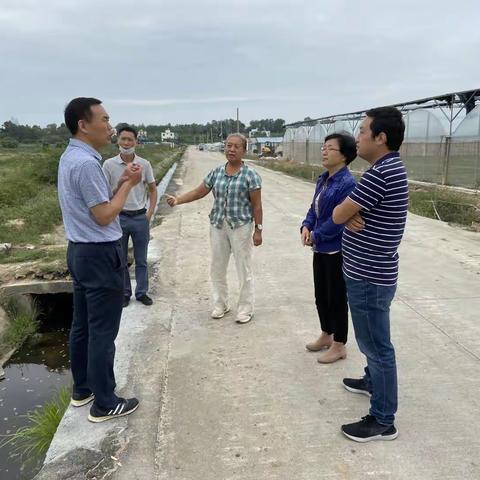 海棠区人大民族宗教农村外侨委员会联合区农业农村局对我区常年蔬菜基地进行调研工作