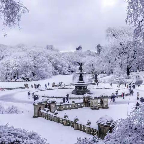 纽约中央公园【雪】