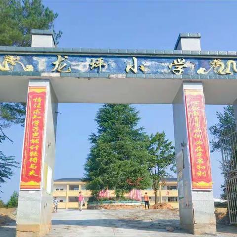 寒假致家长的一封信——渣津镇龙坪小学