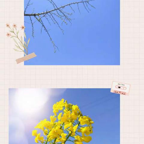 架起心灵的彩虹桥——渣津镇龙坪小学家访篇