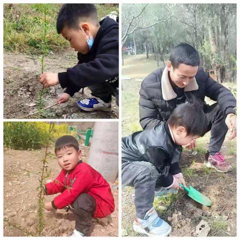 【拥抱春天，播种绿色】第二幼儿园小四班植树节活动