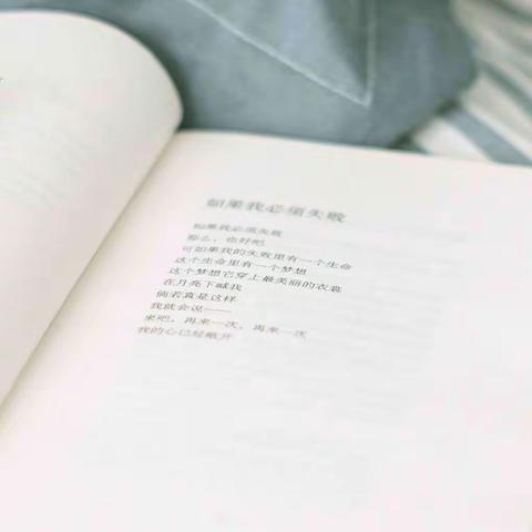 🍃🍃幽     幽     情    韵🍃🍃