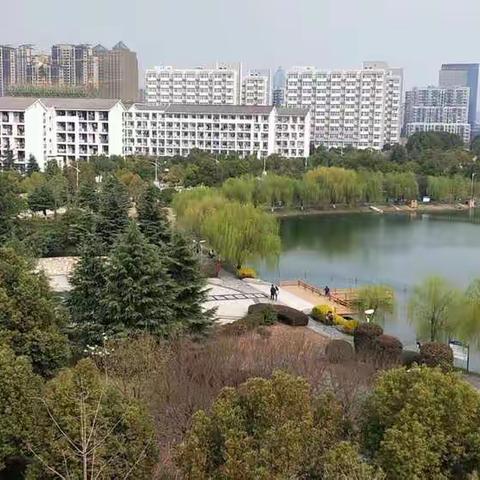 冷雨的美篇
