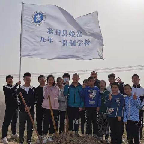 春风吹新绿，植树正当时——姬岔九年一贯制学校义务植树活动