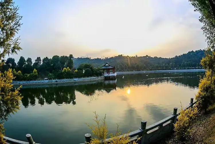 探访春天3月19日花花世界 【盘龙大观园一日游】