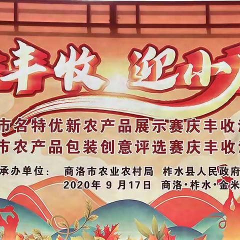 参加商洛市2020年中国农民丰收节主题活动暨第四届柞水木耳文化节启动活动