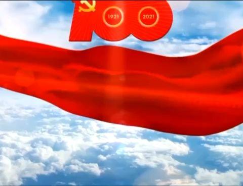百名好少年  讲百年党史——花园小学红领巾百年党史宣讲团震撼开音（六）
