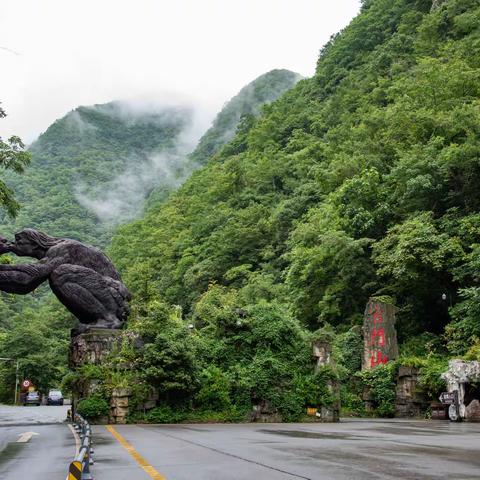 神农架...那是一个美丽的传说