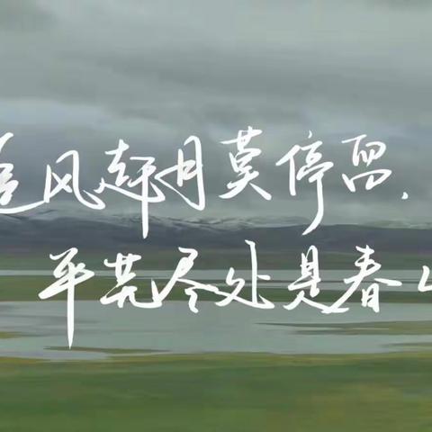 各自努力 顶峰相见——致七5班全体学生