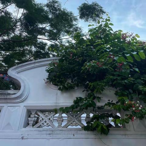 June 22th 2023混球爬爬走#City Walk#Xiamen（1）～