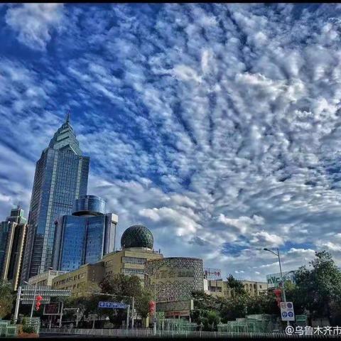 我与十一中的故事:绽放光芒，我们在这里奔赴梦想