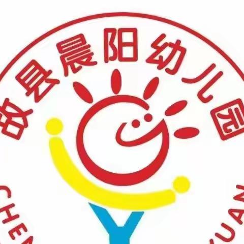 晨阳幼儿园  “以学赋能  聚力前行”参加河南省幼小衔接巡回指导线上活动