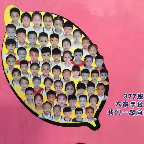 冬日暖阳，结伴出游 ――东方红小学一年级377班冬游活动花絮