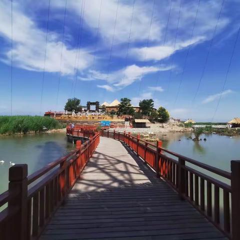 宁夏沙湖美景